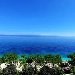 Apartments Blueness