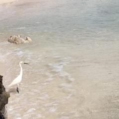Cabaña de Félix by ctglifetravelers