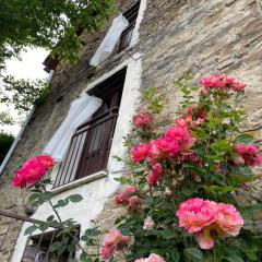 Orbregno Country Houses with Personal Wine Cellar