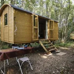 Lovely 2-Bed shepherds hut in a Forest