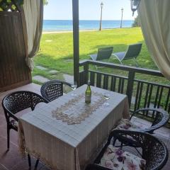 Къща на брега на морето Свети Влас, Garden of Eden