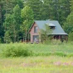 Domek w Biebrzańskim Eldorado