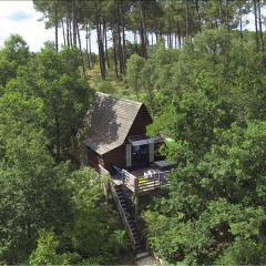 Cabane "la Tête dans les étoiles" de Nature et Océan à côté de la plage