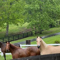 Nicura Ranch Inn & Stables