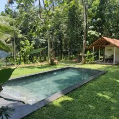 Pool Villa - The Humming Trees, Pala