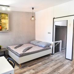 Apartament z widokiem na pomnik Kopernika - Rynek Staromiejski