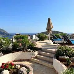 Viola Apart - Kalkan
