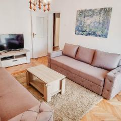 Apartment Bracovic - city center