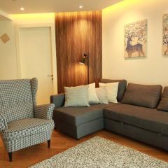 Beautiful Cozy Aprtment Close to Mall of Istanbul