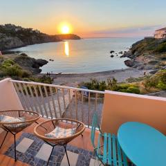 AZUR-Les pieds dans l'eau-Vue sur Mer et Clocher de Collioure en toile de fond - WIFI FIBRE- PARKING Couvert