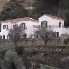 Eri Rooms to Let