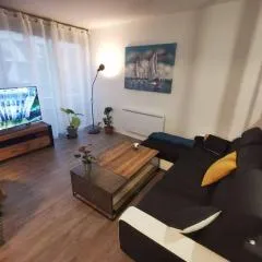 Appartement de 50m2 à 2 pas du port et plage!