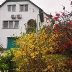 Labdarozsa Apartmanhouse