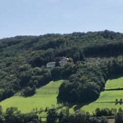 T4 en duplex, résidence atypique en pleine forêt