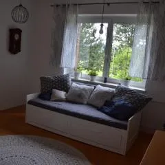 Apartmán pod Kosířem