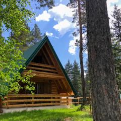 The Pine Forest Cottage