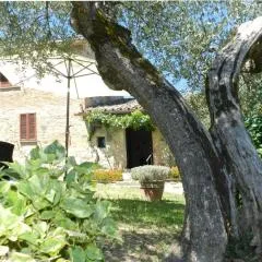 La Corte Cetona Siena