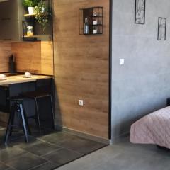Top Studio Vinica