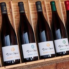 Domaine Gilles Copéret- Artisan-Vigneron- chambres d'hôtes Les Glycines -
