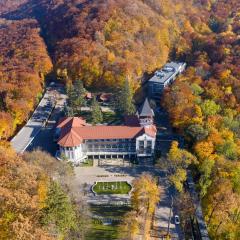 Verkhovyna Resort Medical & Wellness