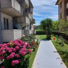 Appartamento Porta Marina