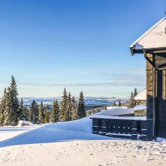 Lovely Home In Lillehammer With House A Mountain View