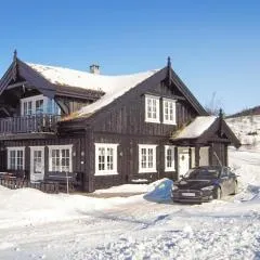 Amazing Home In Rauland With Kitchen