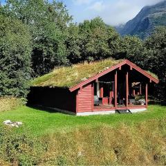 Flåten Hyttegrend