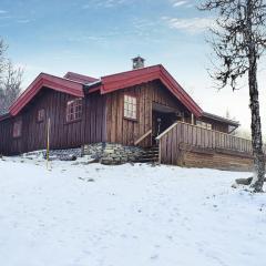 Beautiful Home In Venabygd With House A Mountain View