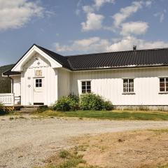 Lovely Home In Fyresdal With House A Mountain View