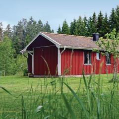 Amazing Home In Vaggeryd With Kitchen