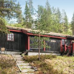 Awesome Home In Rendalen With Kitchen