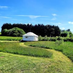 Cranfield Retreat & Glamping - Yurt & Shepherds Hut