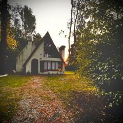 Cabaña Alpina del bosque!