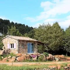 Stone House in France with Pool & Vineyards