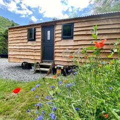Empress En Suite Wagon