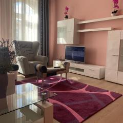 Apartment Zeyerova4