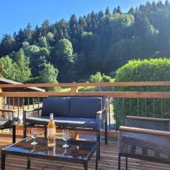 gîteduruisseau73, maison entière exposée sud, en lisière de forêt 80m2 , 2 chambres 2 salles de bain avec terrasse et garage