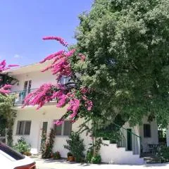 Apartments Martin