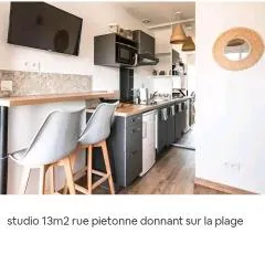 STUDIO BISCARROSSE PLAGE