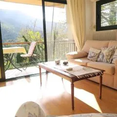 Beautiful mountain view house with fireplace