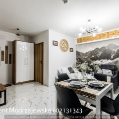 Apartament Modrzejewska