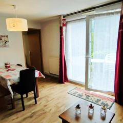 Appartement T2bis, 6 pers, proche télécabine, parking - FR-1-234-182