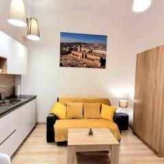 GOLDEN Apartment Bosacka Krakow Old Town 2 rooms