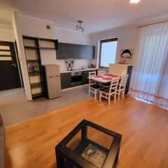 Apartament Centrum