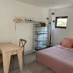 Studio indépendant - Terrasse et piscine en été