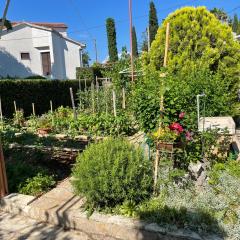 Apartment Fortuna in Malinska- 100m from the beach