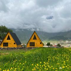 Pine Chalet Kazbegi