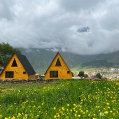 Pine Chalet Kazbegi