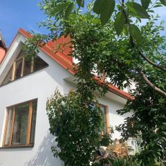 Cosy family house with garden, 12 min from the center